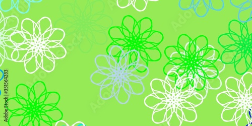 Light Blue, Green vector natural artwork with flowers.