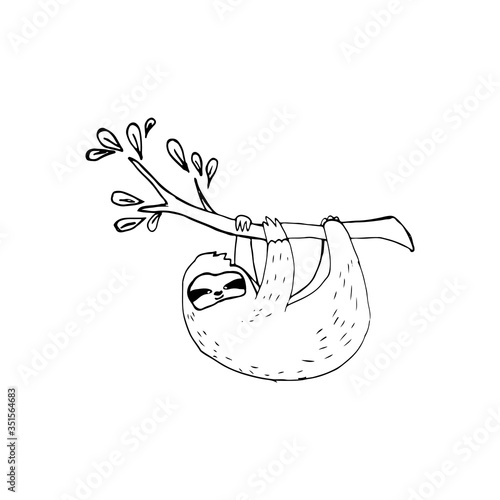 Sloth, tropical animals. A sloth in a tree, a sloth. Vector illustration in doodle style. Isolated objects on the former background