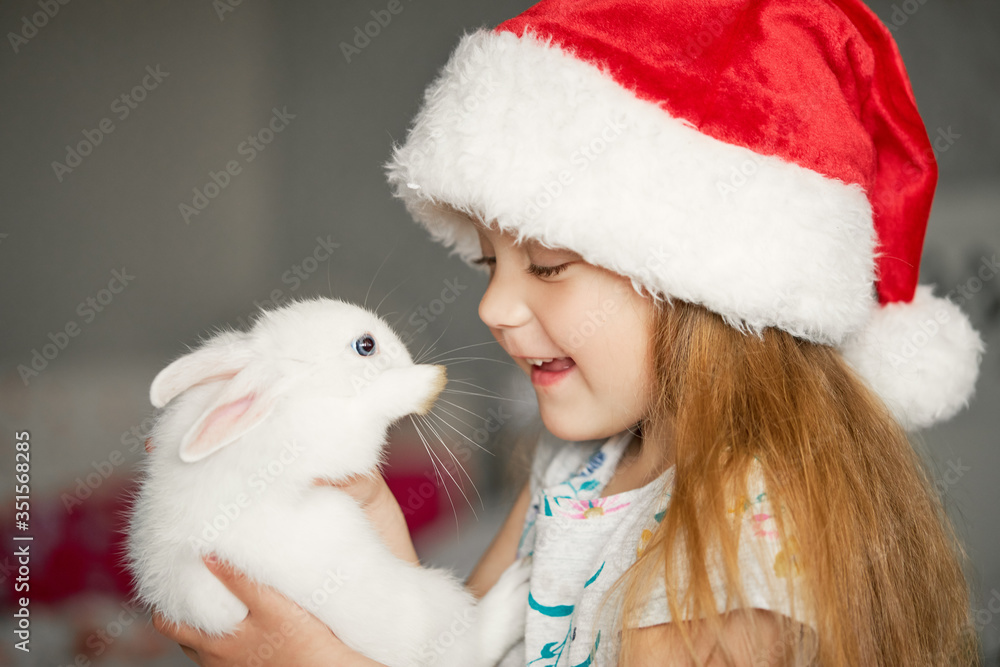 Obraz premium Cute little girl child in Santa hat is holding a little fluffy white rabbit in his arms. Domestic pet care on Christmas holidays