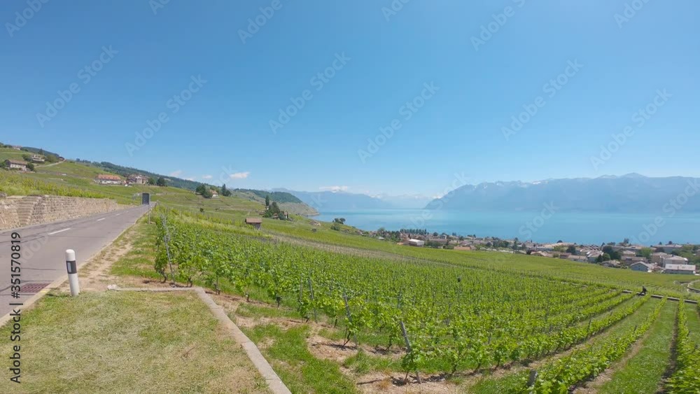 Amazing beautiful viewpoint from Lavaux, Switzerland, 20.05.20 Amazing beautiful viewpoint from Lavaux, Switzerland, 20.05.20