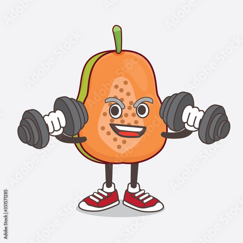 Papaya Fruit cartoon mascot character on fitness exercise using barbells