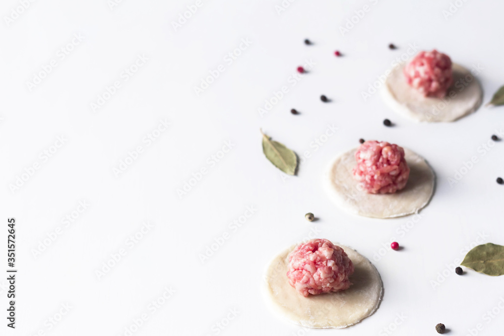 on a white background lay blanks for modeling dumplings: tortillas with meat and spices. sculpt dumplings, place for text on a white background lay blanks for modeling dumplings: tortillas with meat and spices. sculpt dumplings, place for text