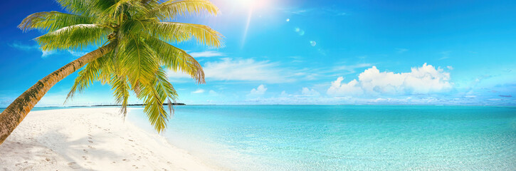 Beautiful tropical beach with white sand, turquoise ocean on background blue sky with clouds on sunny summer day. Palm tree leaned over water. Perfect landscape for relaxing vacation, island Maldives.