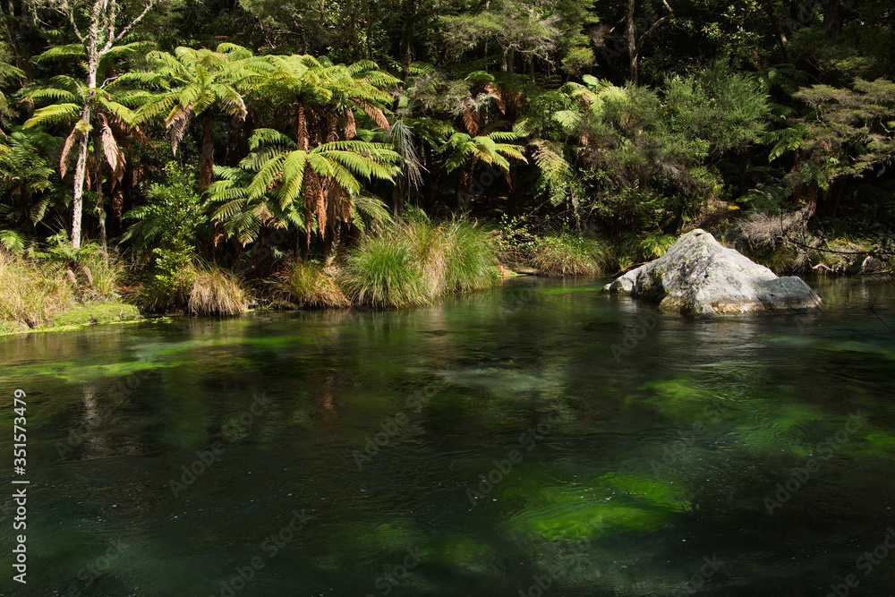 Tarawera River near Kawerau,Bay of Plenty on North Island of New Zealand
Tarawera River near Kawerau,Bay of Plenty on North Island of New Zealand