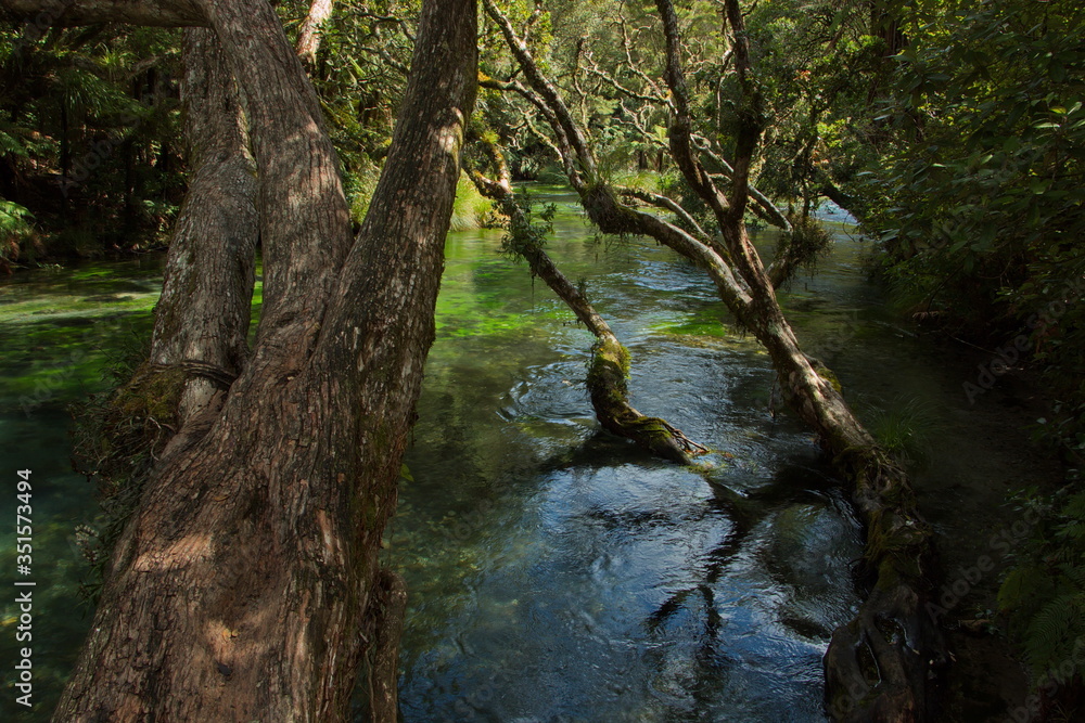 Tarawera River near Kawerau,Bay of Plenty on North Island of New Zealand
