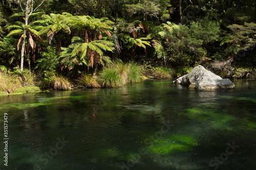 Tarawera River near Kawerau Bay of Plenty on North Island of New Zealand 