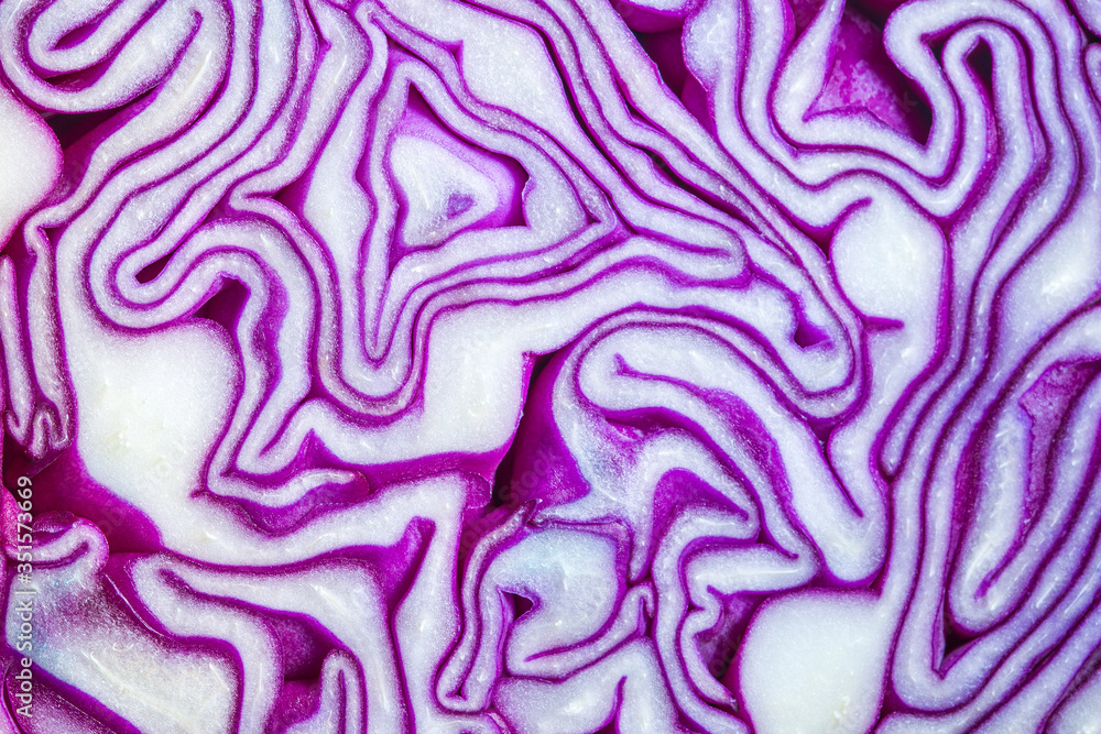 Red cabbage portion macro background Red cabbage portion macro background