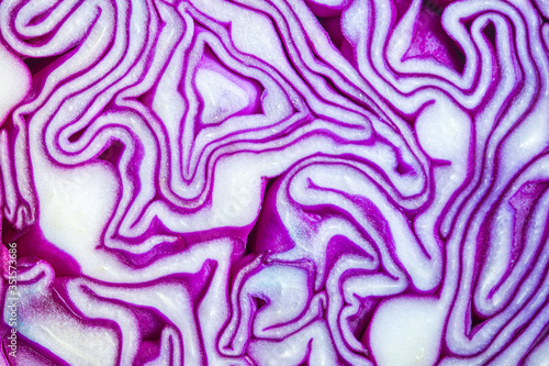 Red cabbage portion macro background