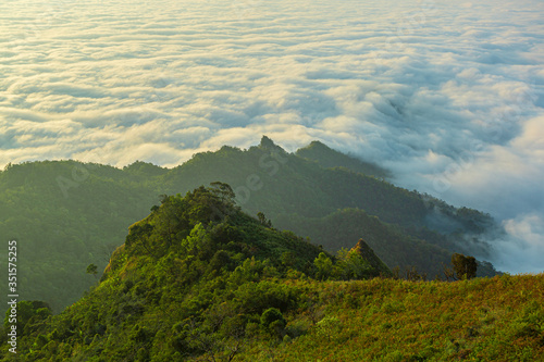 Morning mist over the rainforest in Khao Sok National Park  Thailand