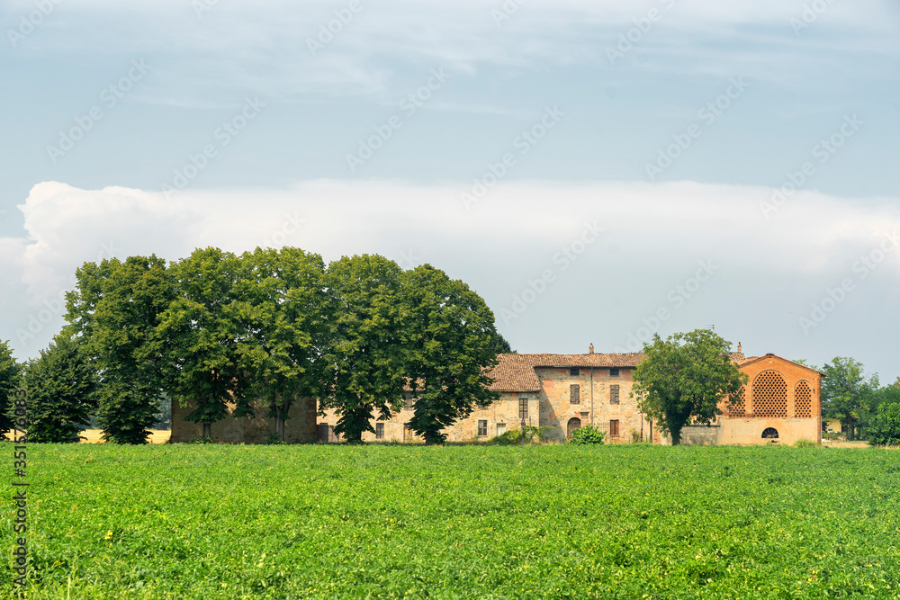 Country landscape near Carpaneto, Piacenza, at summer