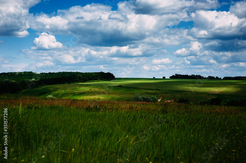 Rustic landscape. Blue sky with clouds  green field  forest.