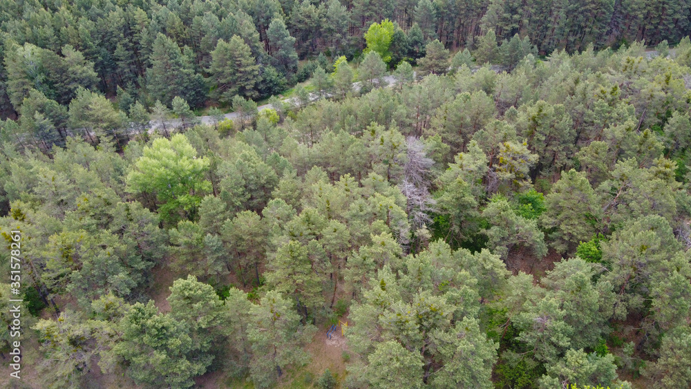 Road in the wood, drone photo aerial. Green wood with road. Travel photo.