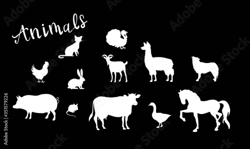 Farm animals, chicken, cat, pig, cow, sheep, turkey, dog, rabbit vector chalk isolated design elements on black background. Concept for logo, print, cards, menu 