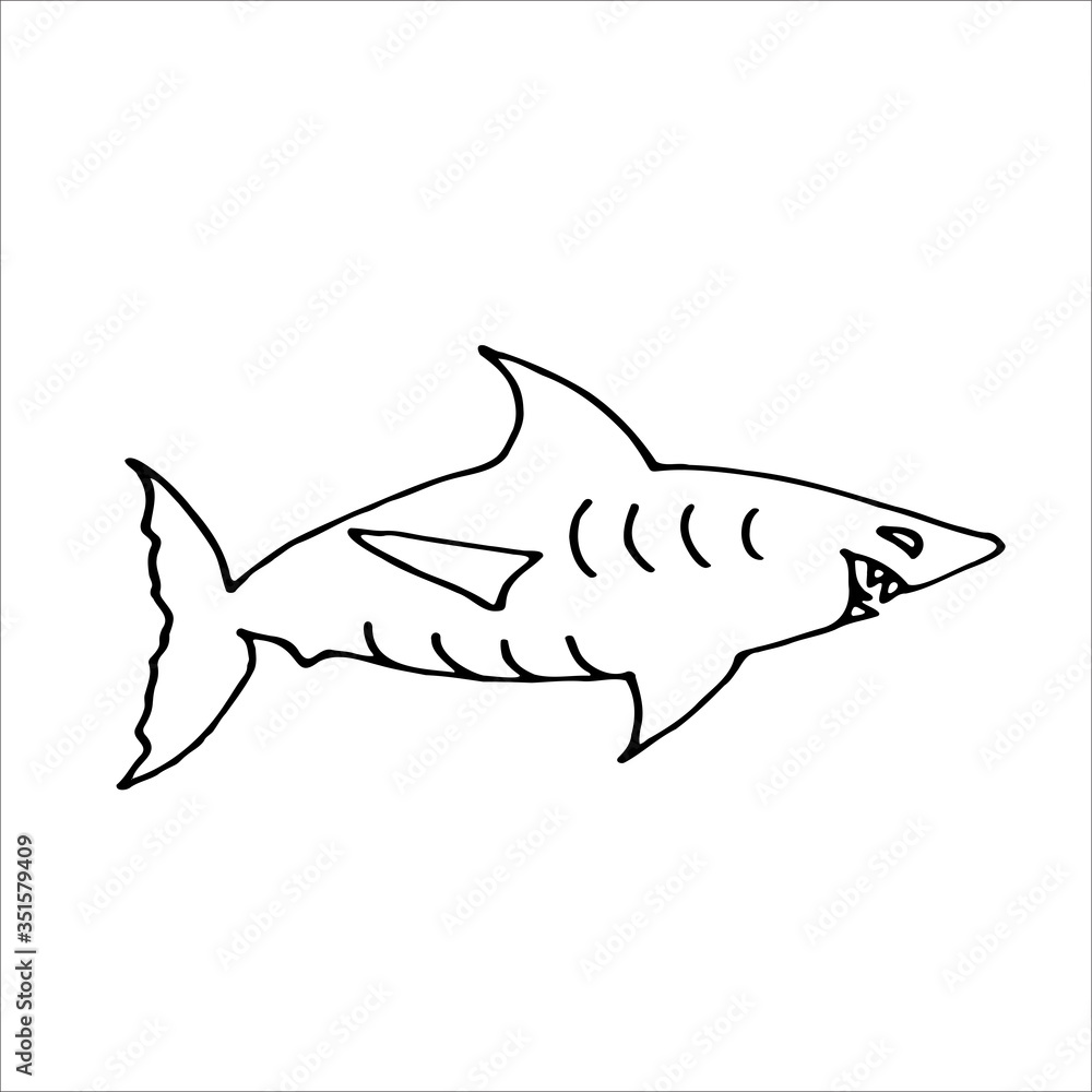 Obraz premium Shark hand drawn illustration in Doodle style. Vector illustration