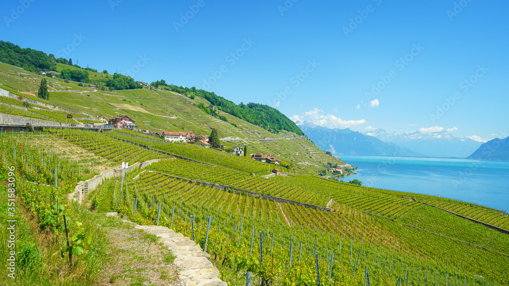 Fototapeta premium Viewpoint from the vineyards of Lavaux, Switzerland, 20 May 2020.