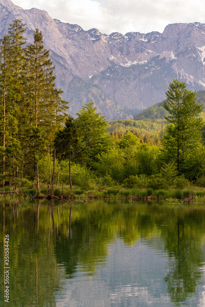 Ufer am Almsee in Oberösterreich