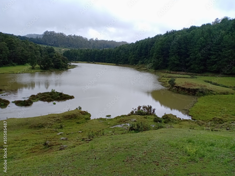 Obraz premium lake in the forest