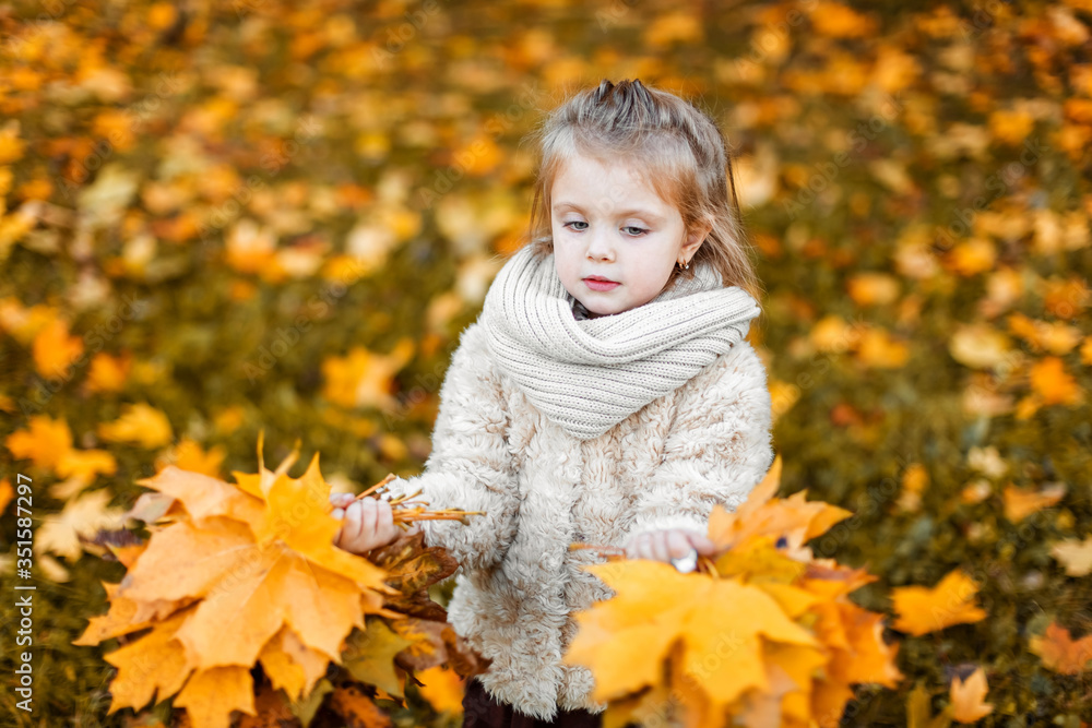 A pretty little girl holds autumn leaves in her hands. A child in the Park in autumn. A pretty little girl holds autumn leaves in her hands. A child in the Park in autumn.