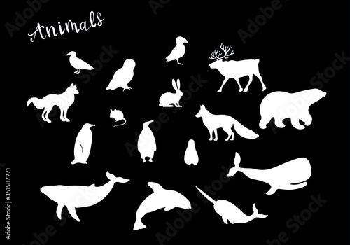 Arctic animals silhouette , fox, wolf, owl, bear, whale, hare, reindeer chalk vector isolated design elements on black background. Concept for logo, icon, print