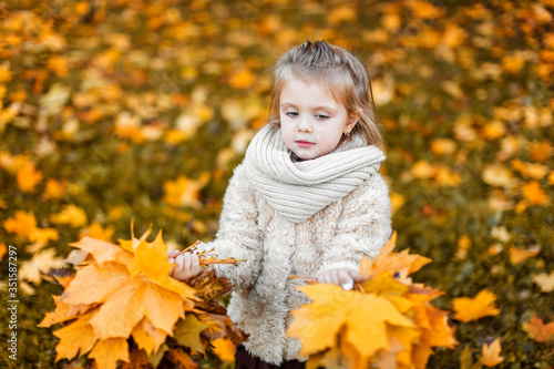 A pretty little girl holds autumn leaves in her hands. A child in the Park in autumn.
