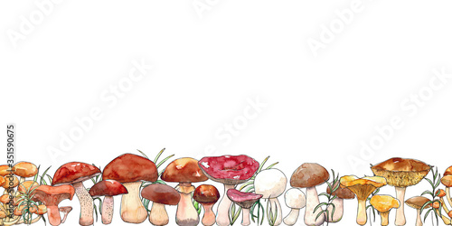 Watercolor hand drawn illustration seamless pattern border of Mushrooms with porcini, champignon, chanterelle, saffon milk cap, boletus badius, yellow boletus, orange cap boletus, russula and grass