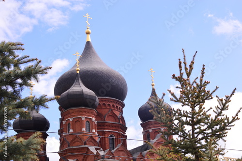 domes of the church
