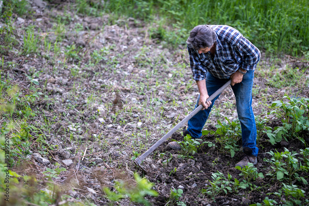 AGRICOLTORE CON ZAPPA AGRICOLTORE CON ZAPPA