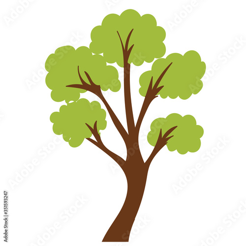 vector  isolated  in a flat style green tree
