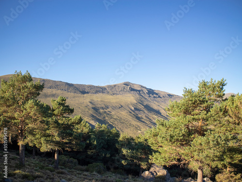 mountain landscape with trees in Sierra Nevada (Spain) 