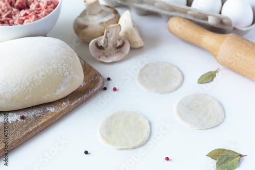on white background lay blanks for modeling dumplings: tortillas, minced meat, mushrooms and spices. sculpt dumplings