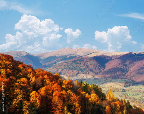 Bright autumn forest on a mountain slope. Location place of Carpathian mountains, Ukraine, Europe.