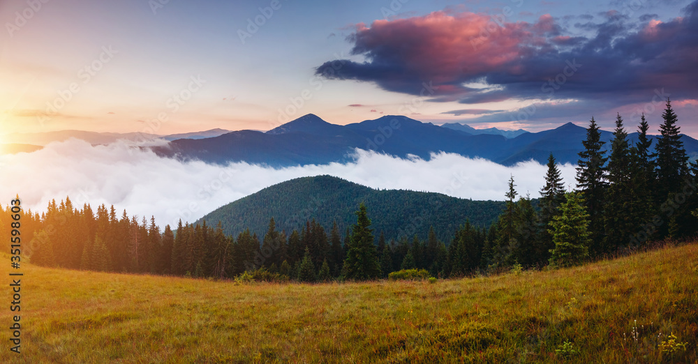 Morning panorama of misty mountains. Location place of Carpathians mountains, Ukraine.
