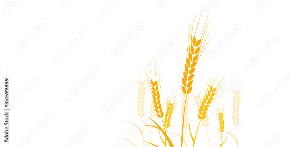 Fototapeta premium spiga di grano, spiga, grano, silhouette, agricoltura 
