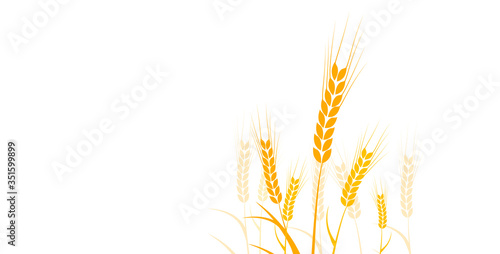 spiga di grano, spiga, grano, silhouette, agricoltura 