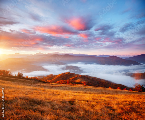 Perfect morning moment in alpine valley. Location place of Carpathian mountains, Ukraine.