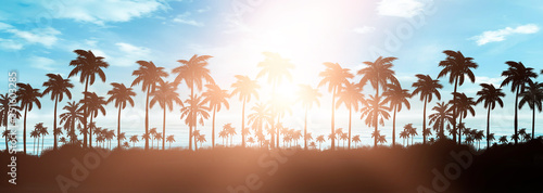 Night landscape with palm t...