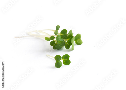 mustard and cress photo