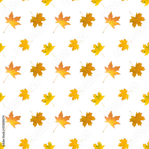 yellow leaves seamless pattern on white background