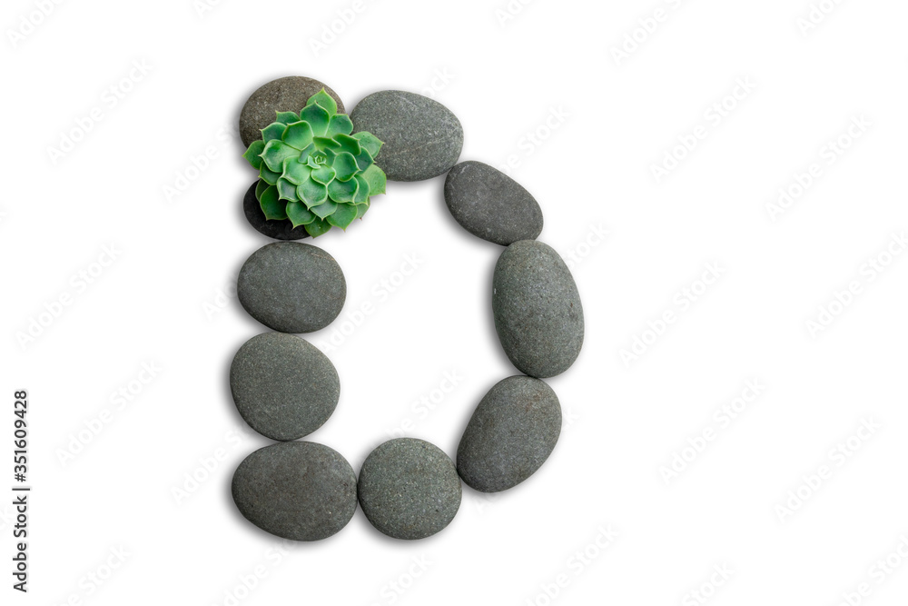 Alphabet letters made of beach stones or ocean stones with Sempervivum isolated on white background.Concept about ECO alphabet With clipping path. Alphabet letters made of beach stones or ocean stones with Sempervivum isolated on white background.Concept about ECO alphabet With clipping path.