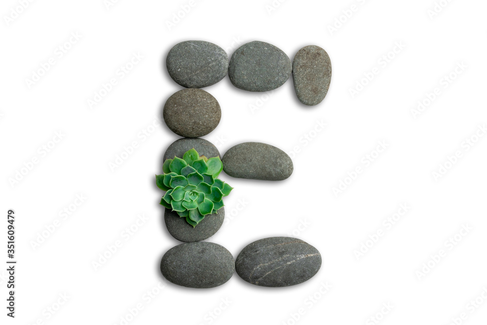 Alphabet letters made of beach stones or ocean stones with Sempervivum isolated on white background.Concept about ECO alphabet With clipping path. Alphabet letters made of beach stones or ocean stones with Sempervivum isolated on white background.Concept about ECO alphabet With clipping path.