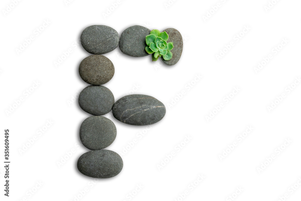 Alphabet letters made of beach stones or ocean stones with Sempervivum isolated on white background.Concept about ECO alphabet With clipping path. Alphabet letters made of beach stones or ocean stones with Sempervivum isolated on white background.Concept about ECO alphabet With clipping path.
