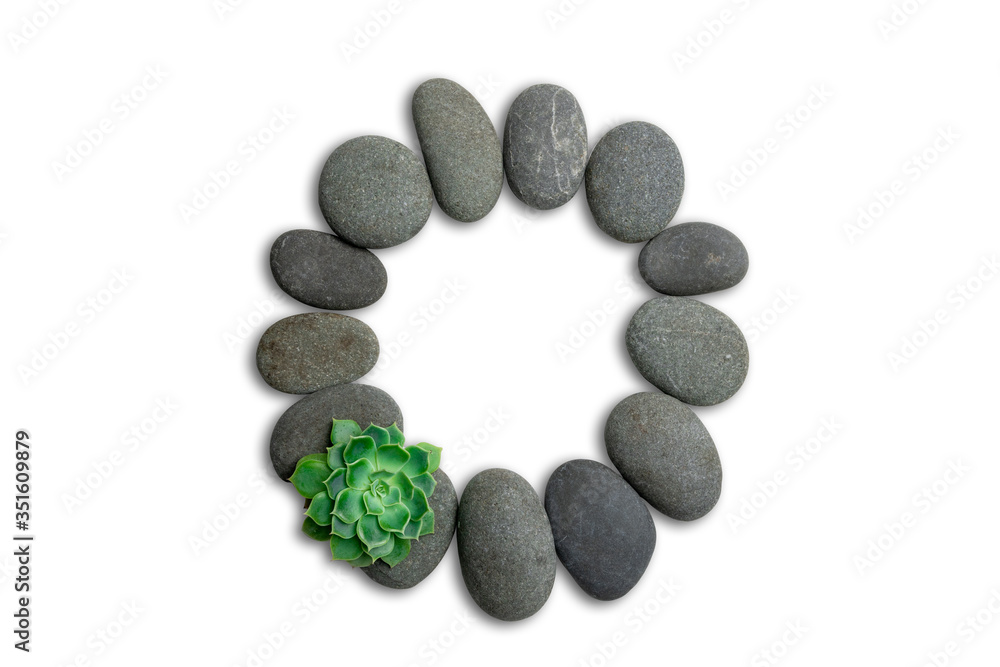 Alphabet letters made of beach stones or ocean stones with Sempervivum isolated on white background.Concept about ECO alphabet With clipping path. Alphabet letters made of beach stones or ocean stones with Sempervivum isolated on white background.Concept about ECO alphabet With clipping path.