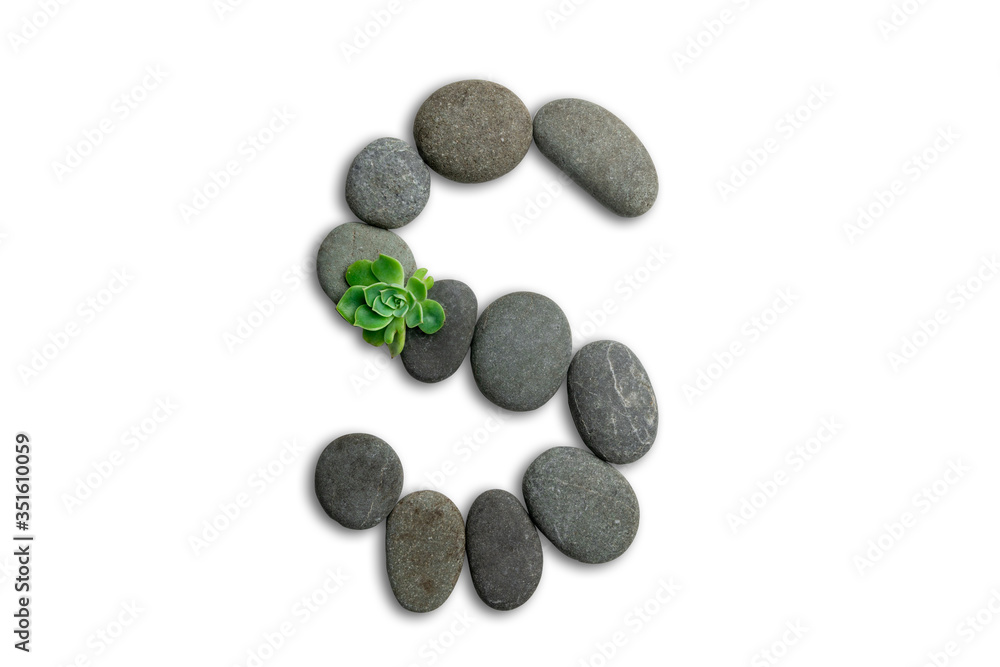 Alphabet letters made of beach stones or ocean stones with Sempervivum isolated on white background.Concept about ECO alphabet With clipping path. Alphabet letters made of beach stones or ocean stones with Sempervivum isolated on white background.Concept about ECO alphabet With clipping path.