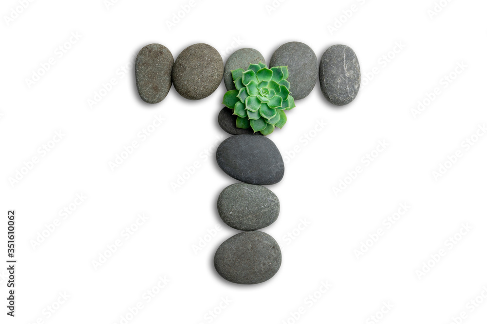 Alphabet letters made of beach stones or ocean stones with Sempervivum isolated on white background.Concept about ECO alphabet With clipping path. Alphabet letters made of beach stones or ocean stones with Sempervivum isolated on white background.Concept about ECO alphabet With clipping path.