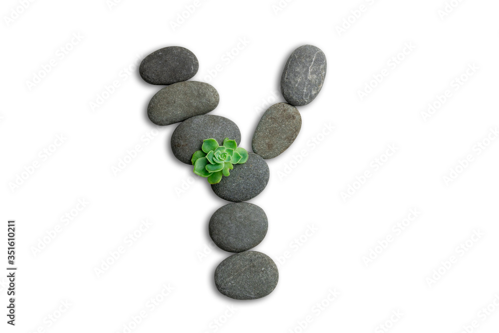 Alphabet letters made of beach stones or ocean stones with Sempervivum isolated on white background.Concept about ECO alphabet With clipping path. Alphabet letters made of beach stones or ocean stones with Sempervivum isolated on white background.Concept about ECO alphabet With clipping path.