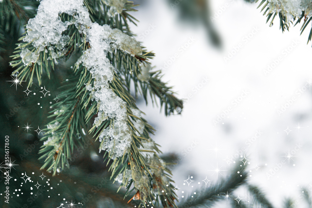 Winter christmas background with snow fir branches cones on forest background. Pine branches with hoarfrost. green colors, winter time, cold weather. Ice on tree. Winter christmas background with snow fir branches cones on forest background. Pine branches with hoarfrost. green colors, winter time, cold weather. Ice on tree.