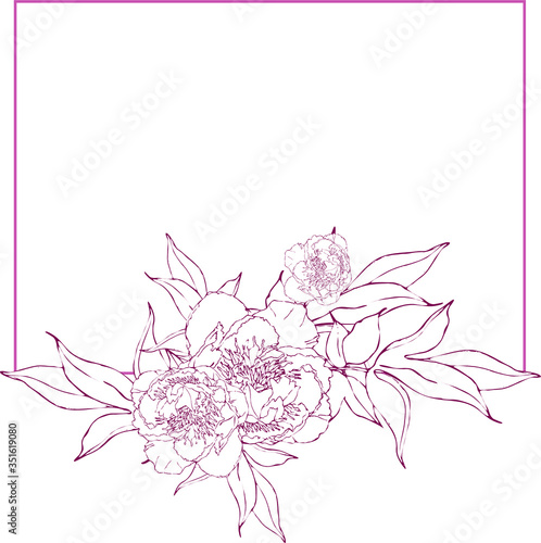 frame with peony flower for greeting card or cnggratulation.vector illustration.