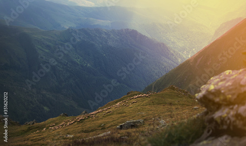 Mountain range at sunset. A herd of sheep in the mountains. Beautiful mountain landscape view. Shepherds' Home in the Mountains