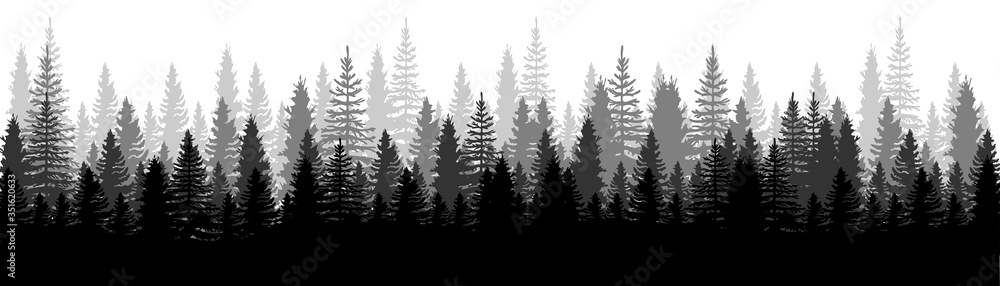 Forest Panorama view. Pines. Spruce nature landscape. Forest background. Set of Pine, Spruce and Christmas Tree on White background. Silhouette forest background. Vector illustration