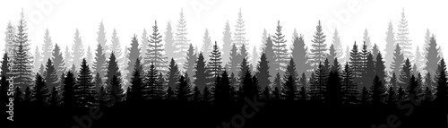 Forest Panorama view. Pines. Spruce nature landscape. Forest background. Set of Pine  Spruce and Christmas Tree on White background. Silhouette forest background. Vector illustration